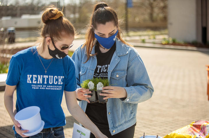 CAFE student ambassadors Sarah Daniels and Maya Fuller gathering succulents.