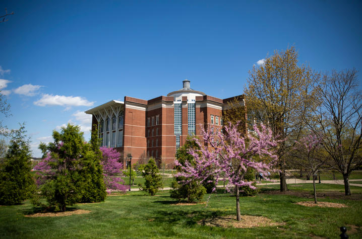 William T. Young Library on campus. Photo by Pete Comparoni | UK Photo