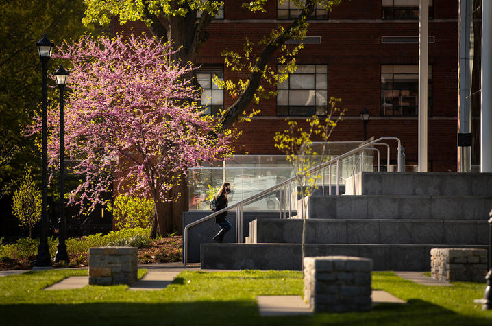 student walking up steps to enter law building with beautiful pink blooming tree behind her