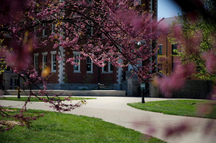 Photo of campus in the spring