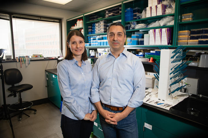 Anika Hartz and Bjoern Bauer inside the lab at Sanders-Brown on July 16, 2021. Photo by Pete Comparoni | UKphoto