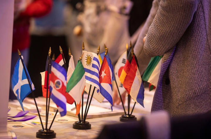 Photo of international flags