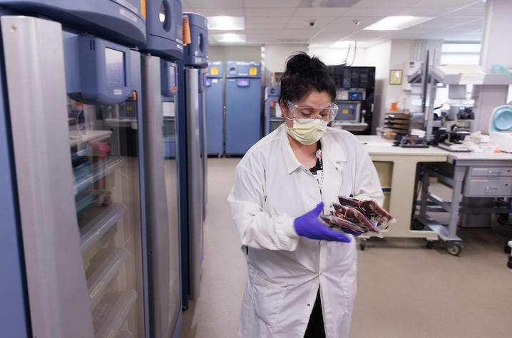 Rozan Whaley works inside the UK Chandler Hospital's blood bank. Mark Cornelison | UK Photo