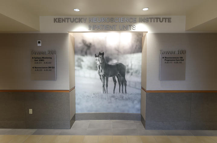 The new Kentucky Neuroscience Institute Inpatient Units at UK's Albert B. Chandler Hospital now occupies the fifth floor of Pavilion A.  Mark Cornelison | UKphoto