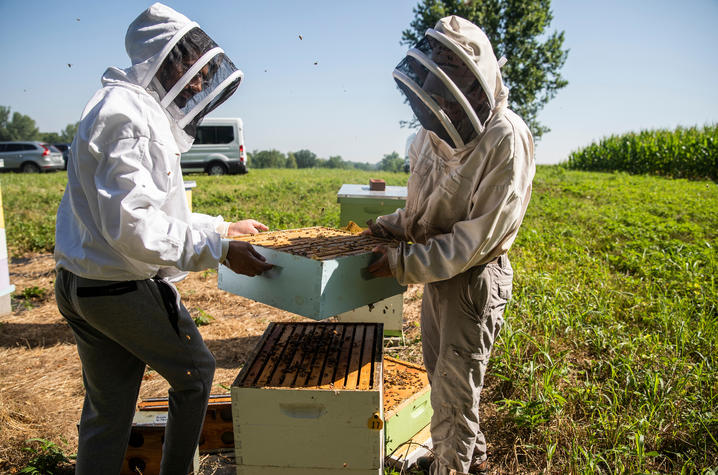 This is a photo of Clare Rittschof and Abdallah Sher Conducting Research at UK's North Farm 