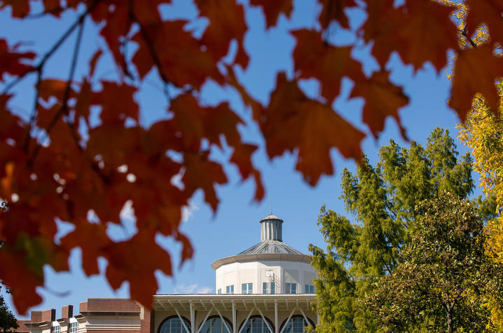 Photo of fall leaves and William T. Young Library