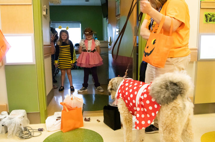 image of two young patients interacting with a therapy dog.