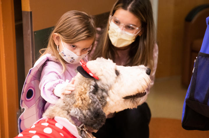 image of a little girl petting a therapy dog