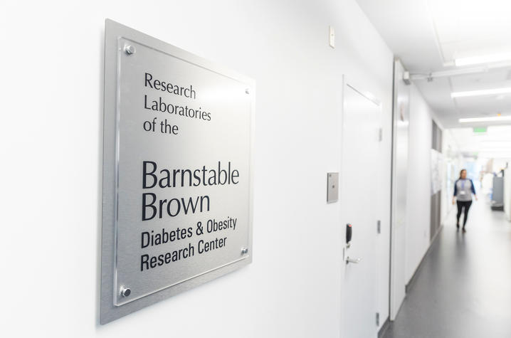 Barnstable Brown labs at Healthy Kentucky Research Building. Arden Barnes | UKphoto
