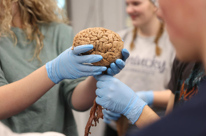 a student wearing surgical gloves, holding a human brain