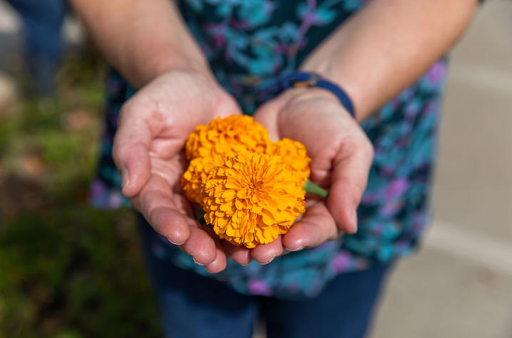 Yellow flower held in someone's hands