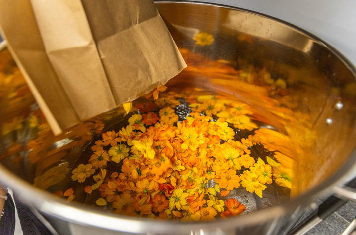 Yellow flower petals being poured into a vat of water