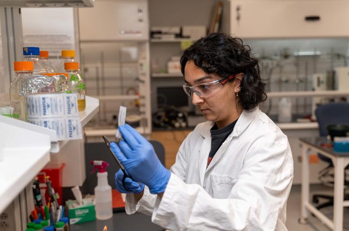 UK student Hena Kachroo works on preparing her space in the Miller Lab