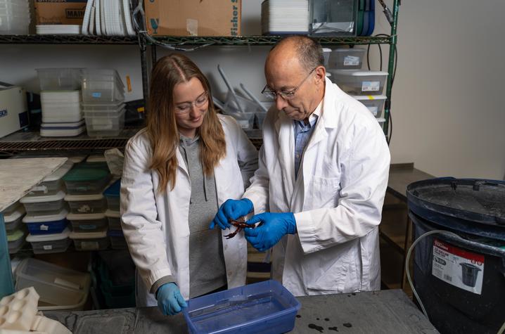 UK student Kaitlyn Brock and Professor Robin Cooper examine a test crawdad