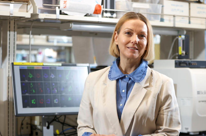 Maj-Linda Selenica, Ph.D., works in her lab on March 27, 2024. Carter Skaggs | UKphoto
