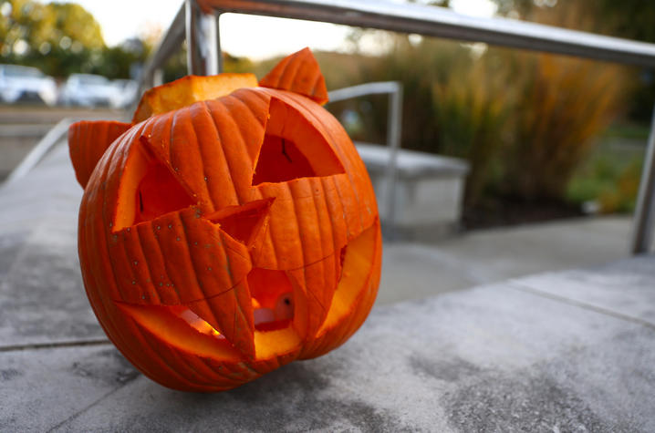 A pumpkin carved into a Wildcat. 