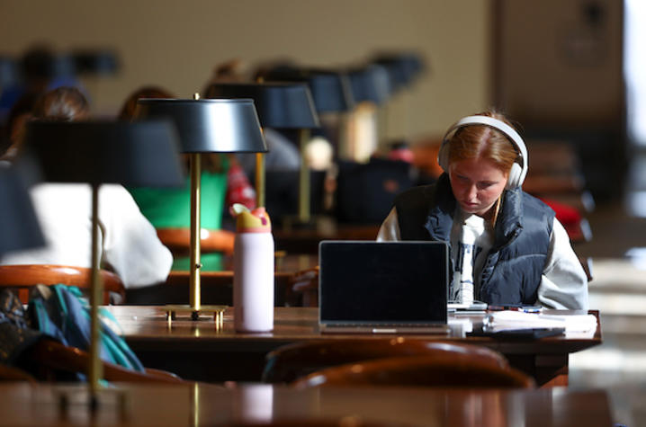 Students work in the library