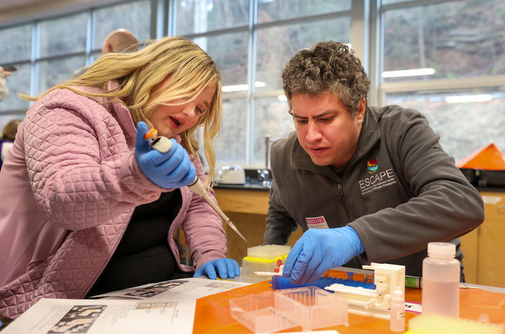 Two people wearing gloves work with a pipette and lab materials on a table in a classroom or laboratory setting.