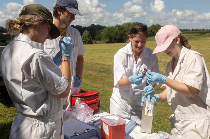 Photo of tick researchers Four people wearing white protective coveralls and blue gloves stand around a table in a grassy field, examining a small animal specimen during field research.