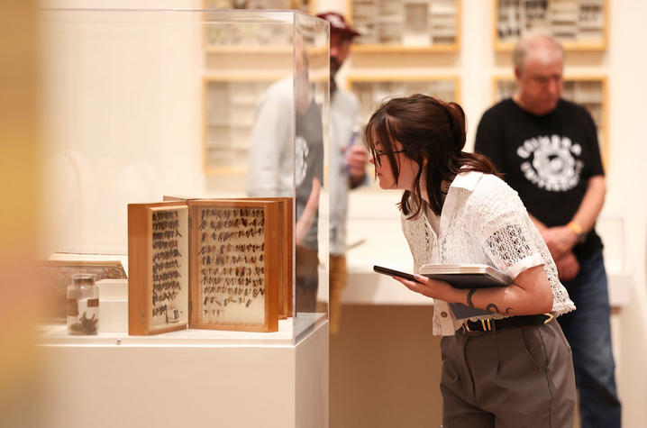 Visitor examines museum artifact display case.