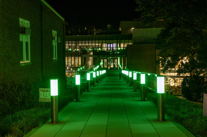 UK goes green Elevated campus walkway lined with glowing green light posts leads toward a modern glass-fronted building at night. Green lighting illuminates the pathway, surrounding brick buildings, and landscaping.
