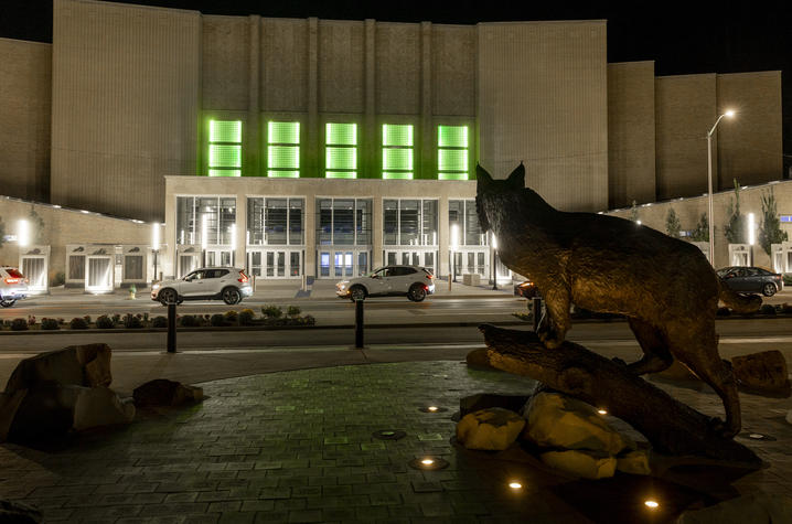 UK goes green Bronze wildcat statue standing on a log in the foreground of a plaza at night, facing a large arena building across the street. The arena’s entrance is brightly lit, with several upper windows glowing green.