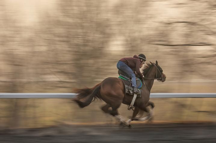 Study analyzes buyers’ assumptions about carpal chips in thoroughbred yearlings