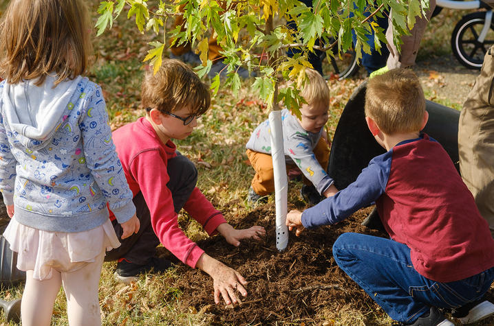 Arbor Day at The Arboretum Four children gather around a newly planted young tree, spreading mulch by hand around the base of the trunk. One child stands nearby while three others kneel on the grass, working around the tree.