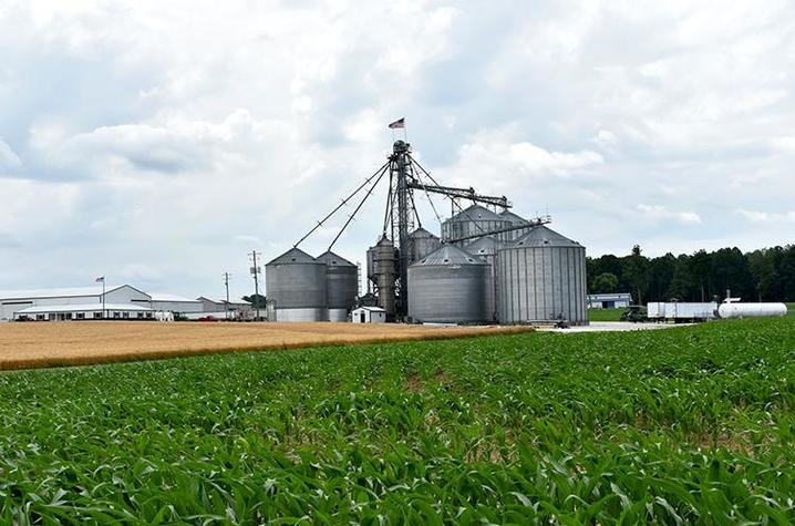 Bins at Bivens' Fresh Start Farms in Hodgenville. Photo by Katie Pratt, UK agricultural communications.