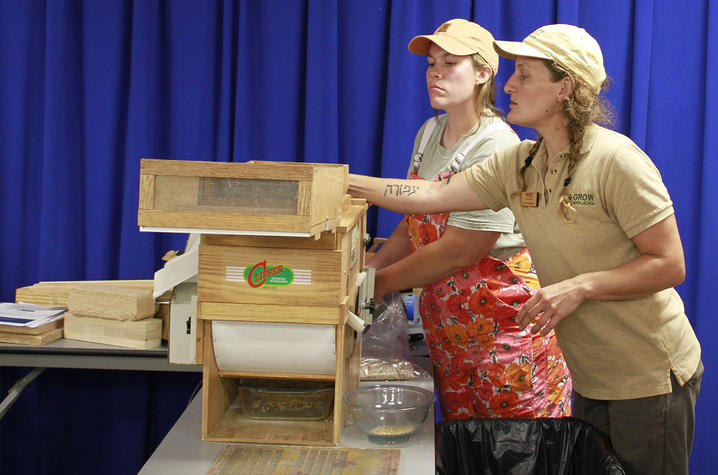 Two workshop participants demonstrate a wooden seed-cleaning and sorting machine set on a table in front of a blue curtain. One participant adjusts the machine while the other observes. The equipment includes wooden screens, collection trays and bowls.