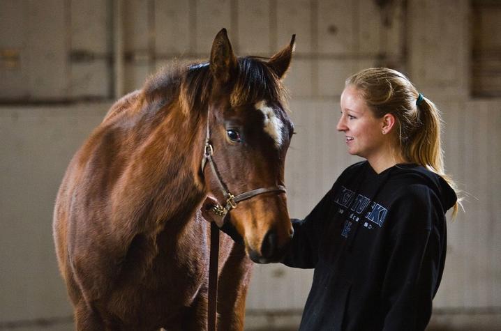 Student weighing a horse 