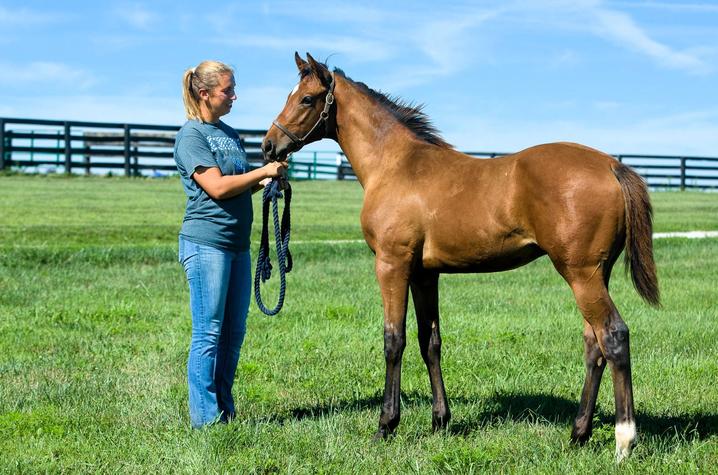 student with horse on Maine Chance Farm