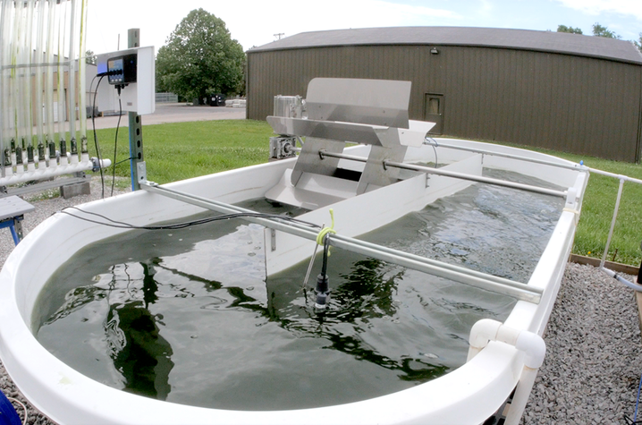 photo of algae lab at UK CAER