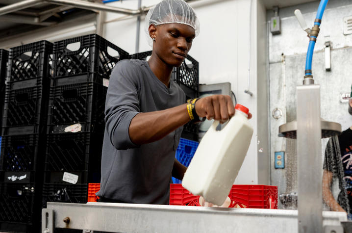photo of Ashton Croudep A worker wearing a hairnet and long-sleeved shirt handles a plastic milk jug in a dairy processing facility. Black storage crates are stacked in the background, while stainless steel equipment and water spray are visible nearby