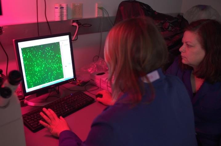 UK virologist Rebecca Dutch (right) with graduate trainee. Dutch is leading UK College of Medicine's CURE Alliance team, which is focused on advising COVID-19 patient care and clinical trials. 