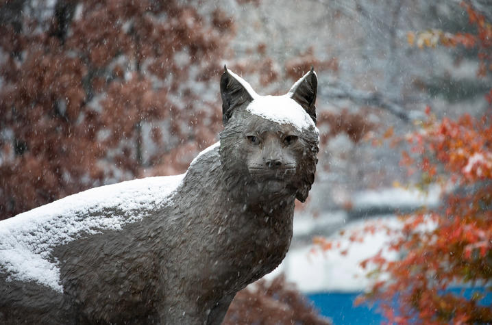 photo of Bowman wildcat statue in Wildcat Alumni Plaza with snow on it