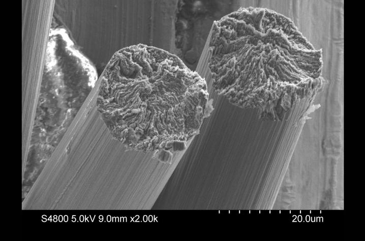 Scanning electronic microscope image of carbon fibers