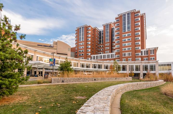 Photo of the exterior of Chandler Hospital A curved stone walkway leads through landscaped grass toward a large red‑brick, multi‑story building with many windows
