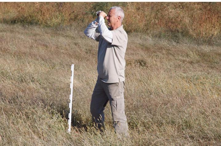 Man standing in a field dressed in camouflage looking through binoculars 