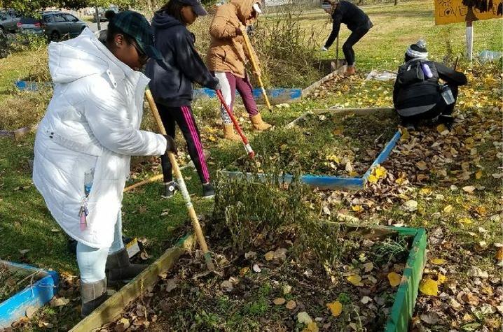 photo of UK volunteers at Community Action Council raised gardens