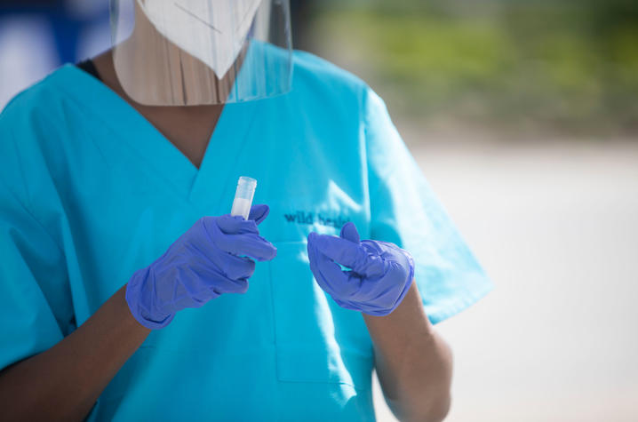 Health professional with Wild Health, who is providing COVID-19 testing on campus, is holding a vial.