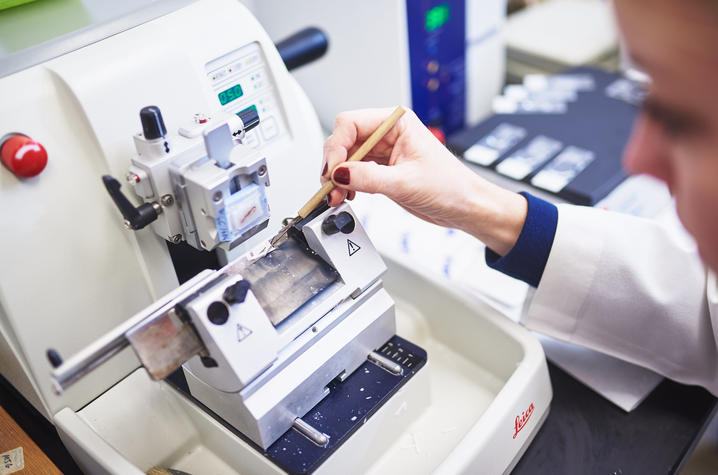 Female dental student sits working at a piece of medical equipment