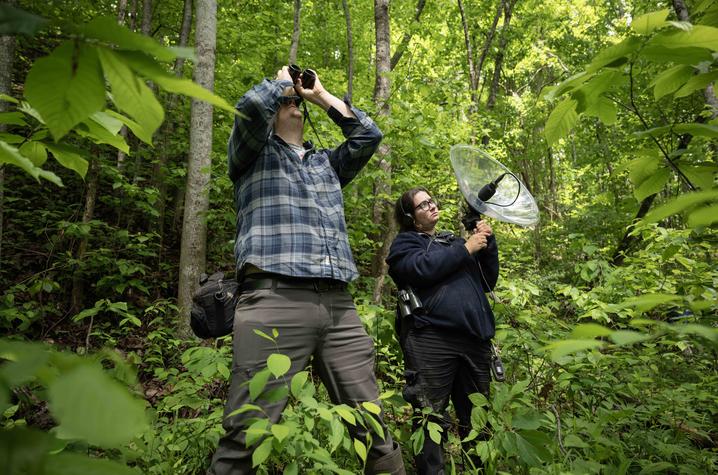 photo of Darin McNeil and UK graduate student Nicole Notarianni Researcher scans the forest canopy with binoculars while another uses a parabolic microphone to record bird songs.
