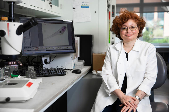 University of Kentucky researcher Emilia Galperin has been awarded a $1.9 million grant to continue her research examining cell signal pathways and genetic disease. Pete Comparoni | UK Photo.