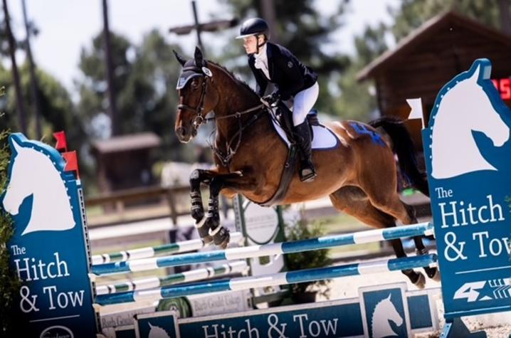 Student riding horse An equestrian rider in competition attire guides a bay horse over a show-jumping obstacle during an outdoor event. The horse is midair above blue-and-white rails, with blue jump standards displaying a white horse head logo and the text “The Hitch & Tow.”
