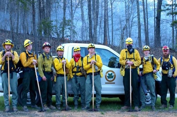 UK Fire Cats at work