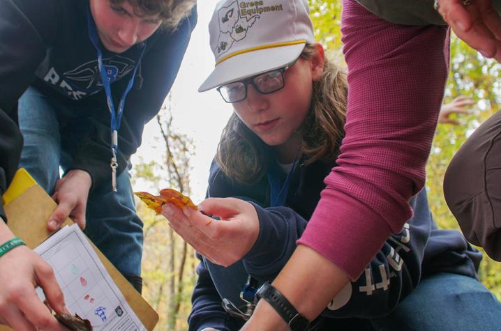 Students examining leaves. Students examining leaves.
