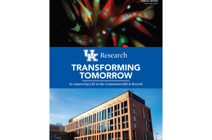 photo of cover of FY 2017 Research Report for UK