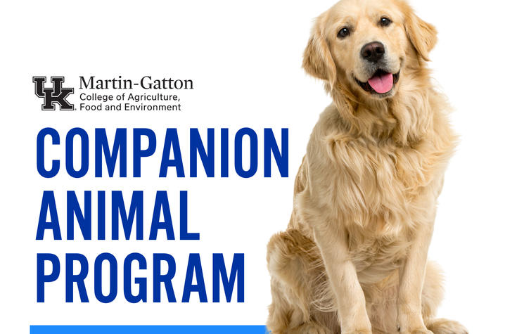 Martin-Gatton Companion Animal flyer