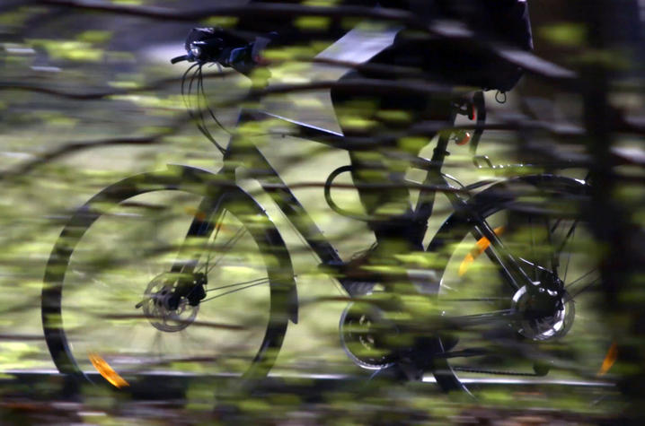 photo of person riding bike past trees